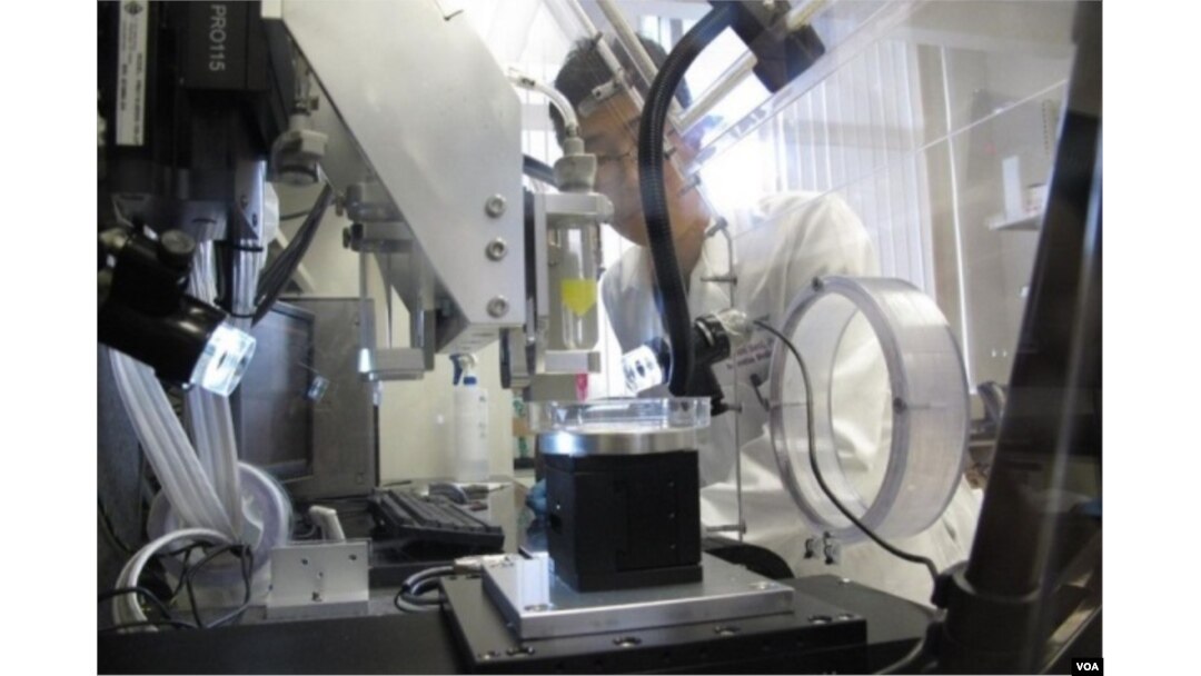 Biodegradable parts made from iron and magnesium based alloys customized with a 3-D printer. (University of Pittsburgh, Swanson School of Engineering)