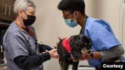 Veterinarian Susan Barrett, former assistant professor at the Ohio State University College of Veterinary Medicine, works with a veterinary student on how to do a wellness exam on a dog. (Courtesy - Ohio State University College of Veterinary Medicine) 