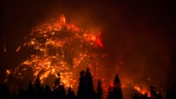 기후변화와 산불