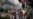 More Protests as India Grapples With Citizenship Law Fallout