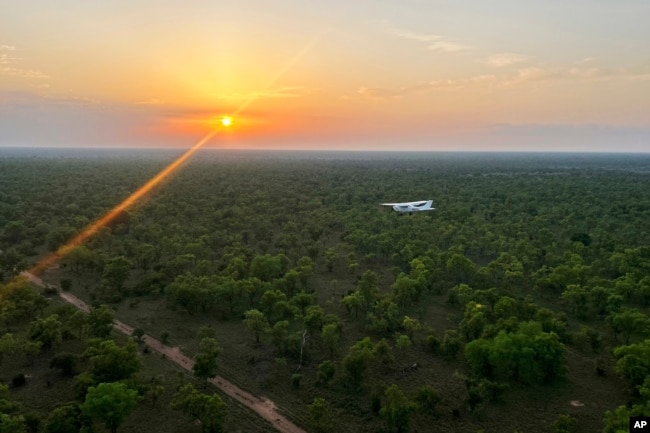 A plane surveys animals while flying over national parks and the surrounding areas in South Sudan, Wednesday, June 19, 2024. (AP Photo/Brian Inganga)