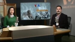 بي بي شیرینه – د ډیوه ریډیو په ټی وي خپرونه