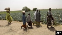 Des femmes et des enfants dans les champs d'une ferme, près de Maiduguri, dans l'État de Borno, au Nigeria,le 6 avril 2017.