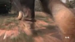 سالگرد نسل کشی روآندا