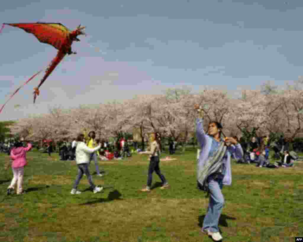 Змеи над городом… воздушные