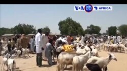 Manchetes Africanas 14 Junho 2018: Macomia em Moçambique recebe abastecimentos