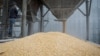 Пропозиції ООН до Путіна щодо зернової угоди можуть спрацювати за умов міжнародного тиску - Подоляк 