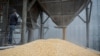 Польща відновить транзит українського зерна, посиливши перевірки