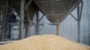 UN: Over Quarter-Billion Needed Food Aid in 2022