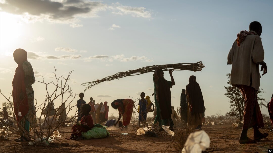 Para warga Somalia yang terpaksa meninggalkan rumah mereka akibat kekeringan yang melanda kini tinggal di kamp pengungsi di pinggiran Kota Dollow, Somalia, pada 19 September 2022. (Foto: AP/Jerome Delay)