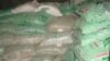 Maize seed