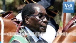 Le successeur de Robert Mugabe indemnise les fermiers blancs dépossédés