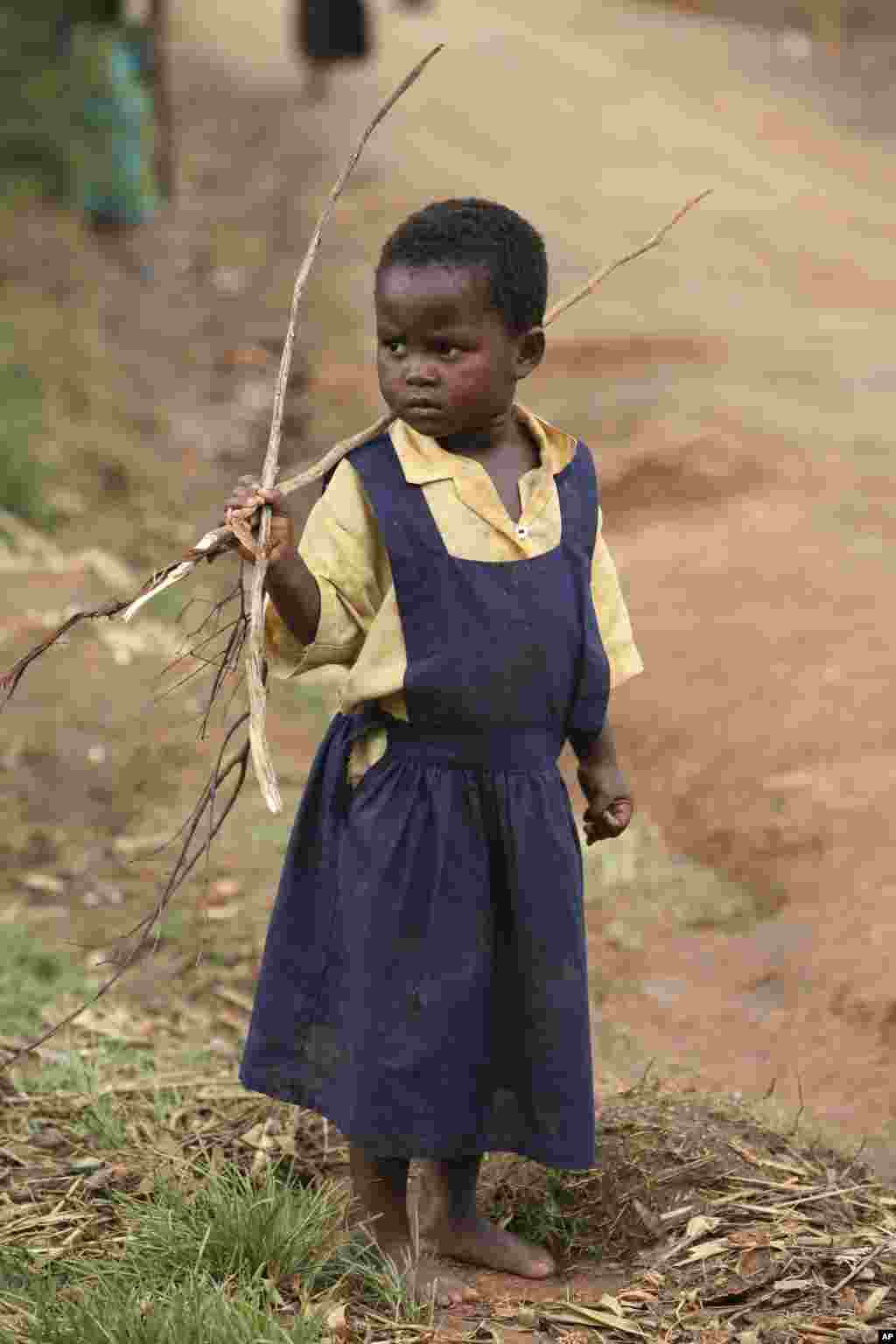 Une jeune fille apporte du bois, &nbsp;au Malawi, le 28 mars 2009.