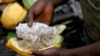 Cacao : la Côte d'Ivoire et le Ghana tiennent tête à Hershey et Mars