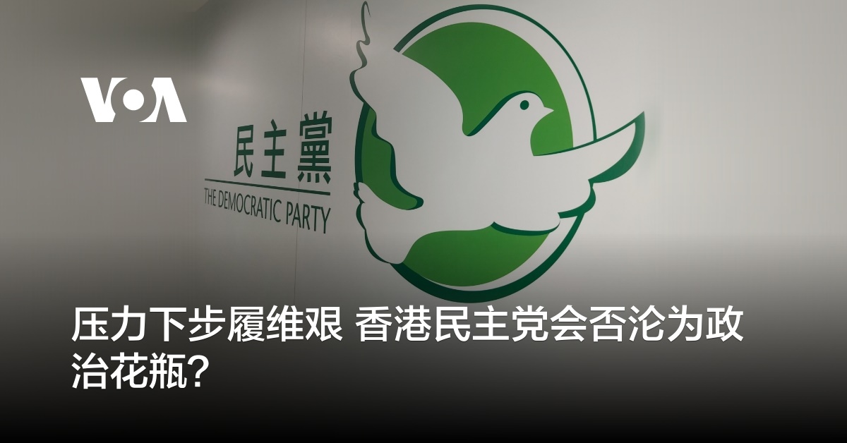 香港民主党：走向消失 还是沦为政治花瓶？