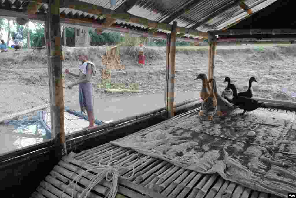 A small coop can house 100 ducks and floats on a structure made of bamboo, empty oil drums and recycled materials that floats on riverbanks. (Amy Yee for VOA)