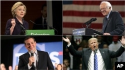 Clockwise, from top left, Democratic presidential candidates Hillary Clinton, in New York, and Bernie Sanders, in Buffalo, and Republican candidates Donald Trump, in Albany, and Ted Cruz, in San Diego, campaign this week. 