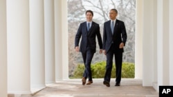 President Barack Obama and Canadian Prime Minister Justin Trudeau walks through the colonnade to speak at a bilateral news conference in the Rose Garden of the White House in Washington, Thursday, March 10, 2016. (AP Photo/Andrew Harnik)