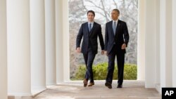 President Barack Obama and Canadian Prime Minister Justin Trudeau walks through the colonnade to speak at a bilateral news conference in the Rose Garden of the White House in Washington, Thursday, March 10, 2016. (AP Photo/Andrew Harnik)