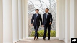 Amerika rahbari Barak Obama Vashingtonda, Oq uyda Kanada Bosh vaziri Jastin Tryudoni dabdaba bilan kutib oldi. Kanada rahbari oxirgi 19 yilda Amerikaga ilk bor kelishi.