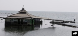 Seorang pria memancing di dekat masjid yang terbengkalai akibat terendam air laut di Jakarta, Sabtu, 27 Juli 2019. (Achmad Ibrahim/AP)