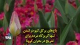 باغ‌های پرگل کیو در لندن تنها گریزگاه مردم برای تفریح در بحران کرونا