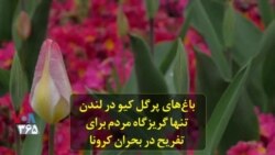 باغ‌های پرگل کیو در لندن تنها گریزگاه مردم برای تفریح در بحران کرونا