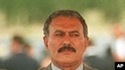 Yemen President Ali Abdallah Salah (File Photo)