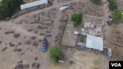 En images : trafic de bois à la frontière sénégalo-gambienne