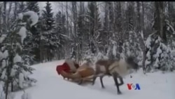 Santa Clause ရဲ့ ရိန်းဒီးယားသမင်