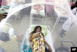 Enclosed in a mosquito net, Nadia Gonzalez recovers from a bout of dengue fever at a hospital in Luque, Paraguay, Feb. 5, 2016.