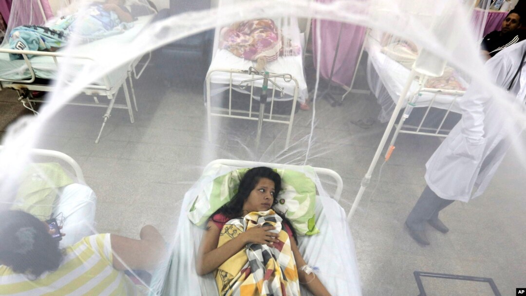 Enclosed in a mosquito net, Nadia Gonzalez recovers from a bout of dengue fever at a hospital in Luque, Paraguay, Feb. 5, 2016. Dengue, like the Zika virus, is transmitted by the same vector, the Aedes aegypti mosquito. 