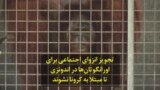 تجویز انزوای اجتماعی برای اورانگوتان‌ها در اندونزی تا به کرونا مبتلا نشوند
