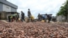 Abundant Rain, Sun Boost Ivory Coast Cocoa Crops as Season Ends