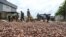 Workers collect dry cocoa beans in front of the store of a cocoa cooperative in the village of Hermankono on November 14, 2023.