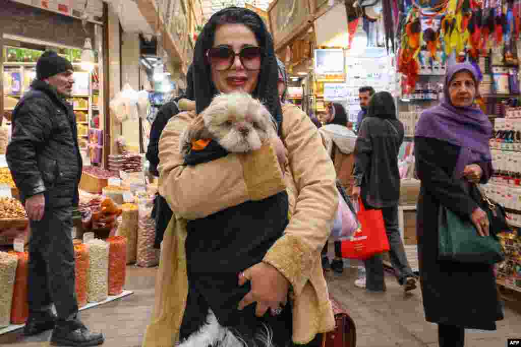 یک زن با سگ اش در بازاری در تهران