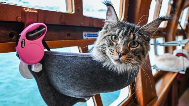 Are You ‘Sitting Pretty’?