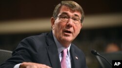 Menteri Pertahanan Amerika Ashton Carter (foto: dok).