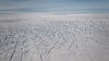 Curvi-linear crevasses in a region of complex ice flow on Pine Island Glacier, West Antarctica. (Photo courtesy Ian Joughin)