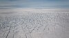 Curvi-linear crevasses in a region of complex ice flow on Pine Island Glacier, West Antarctica. (Photo courtesy Ian Joughin)