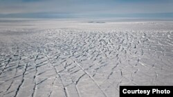 Curvi-linear crevasses in a region of complex ice flow on Pine Island Glacier, West Antarctica. (Photo courtesy Ian Joughin)