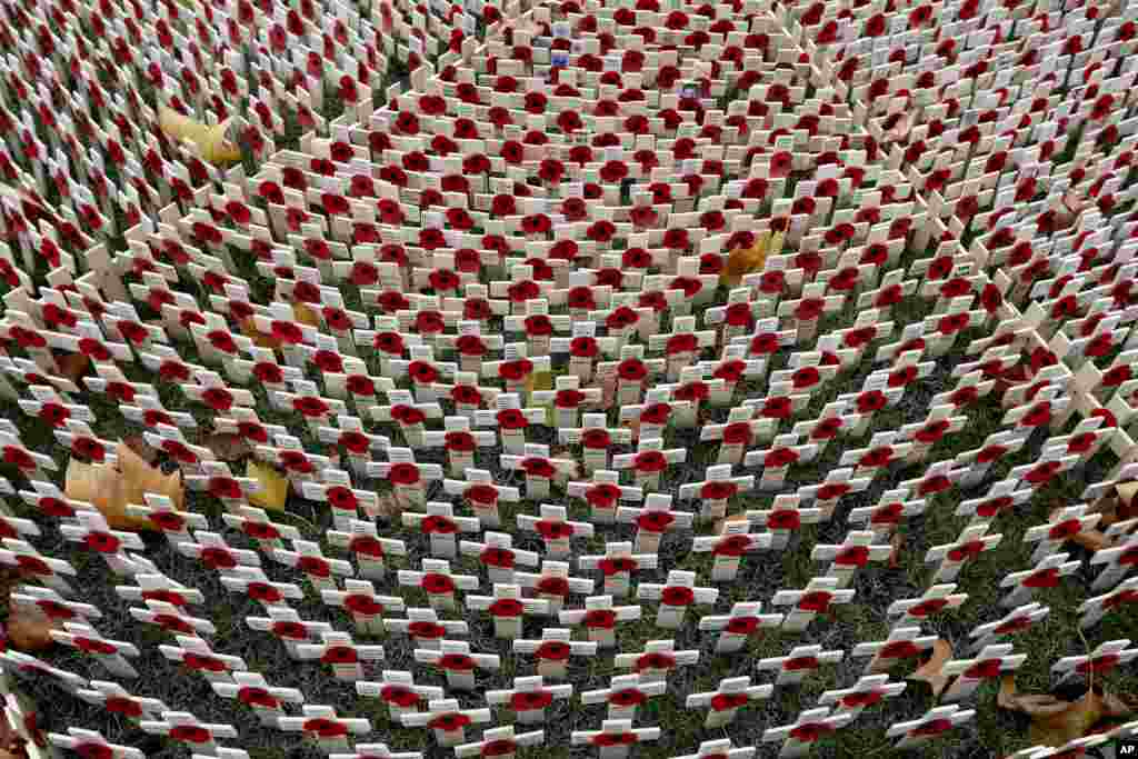 Autumn leaves lie on Remembrance poppies placed at The Field of Remembrance at Westminster Abbey in London.