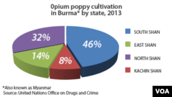 Opium production in Burma by state, 2013