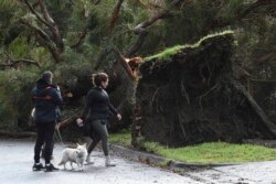 Warga melngamati pohon tumbang akibat badai di Lilydale, Melbourne, Australia, Kamis, 10 Juni 2021. (AP)