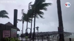 La tormenta Elsa llegó a Florida 