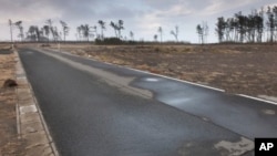 Barren coastal region where the disaster struck have not recovered, Japan, March 8, 2012.