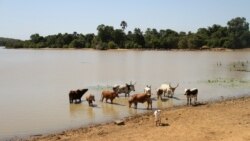 Le Sahel subit de plein fouet les effets du changement climatique