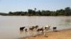 Shrinking Lake in Mali Suggests End of Line for Family of Fishermen