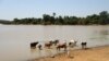 Shrinking Lake in Mali Suggests End of Line for Family of Fishermen