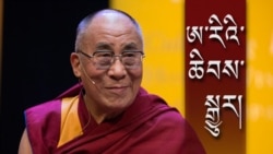 སྤྱི་ནོར་༧གོང་ས་སྐྱབས་མགོན་ཆེན་པོ་མཆོག་གི་ཨ་རིའི་ཆིབས་སྒྱུར།